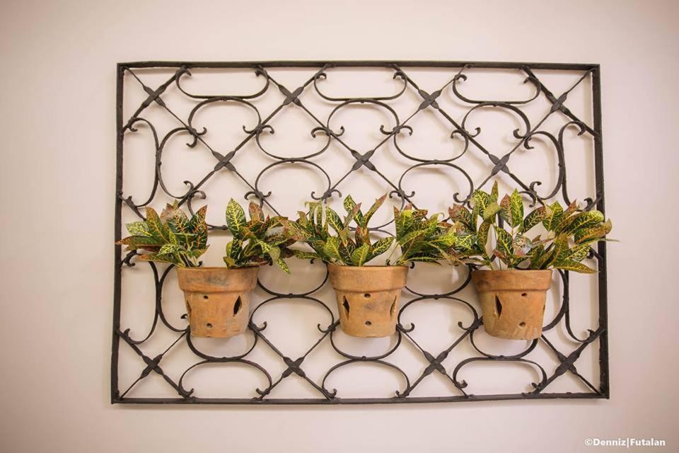 מלון Dumaguete City Casa Rubin מראה חיצוני תמונה
